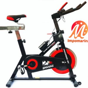 Bicicleta De Spinning rueda inercial de 15 Kg + caramayola